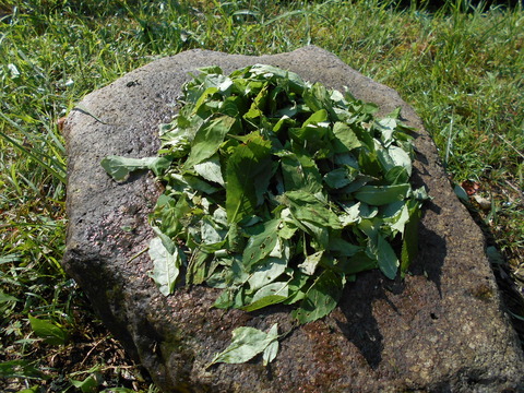 DSCN0189