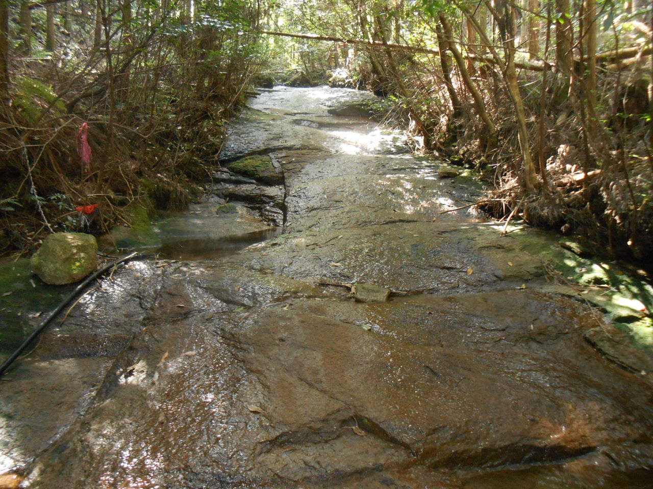 大ピンチ 谷の水は枯れる寸前 大又川の水も極端に少ないです 熊野での田舎暮らし