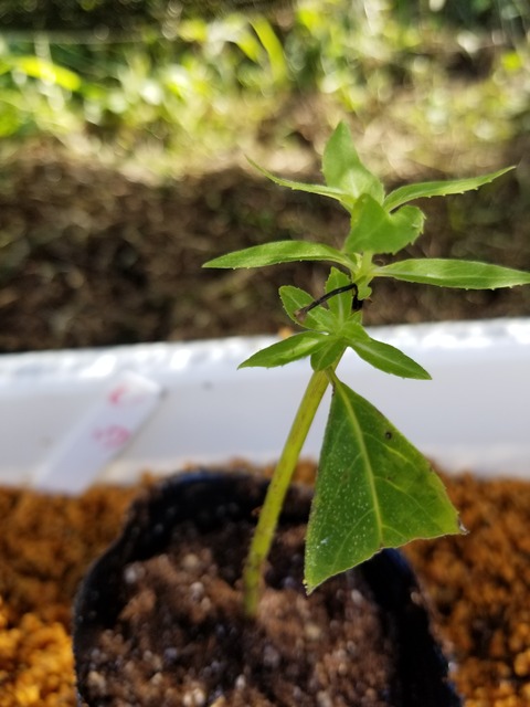 20190906_150353