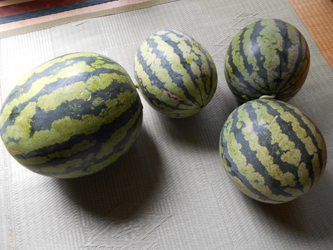 DSCN0045