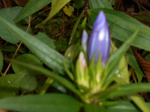 DSCN0364
