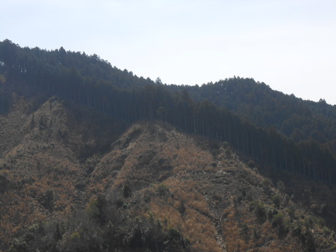 DSCN3771