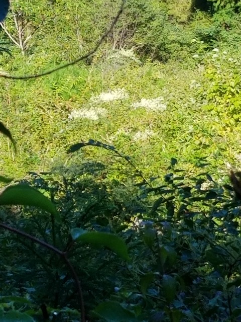 20190903_081711