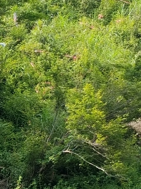 20190803_094535