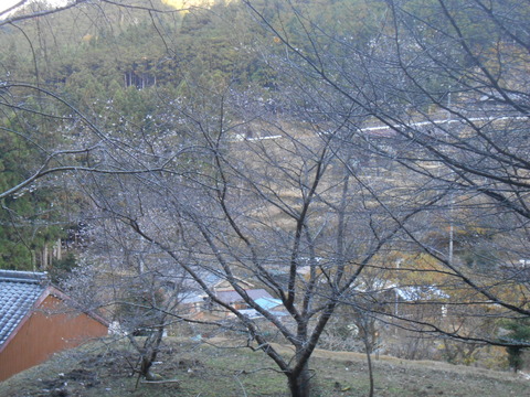 DSCN8807
