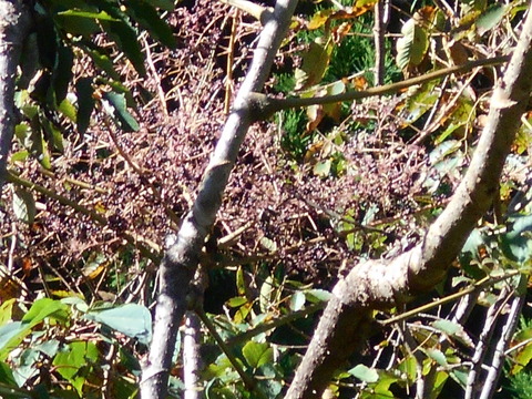 DSCN0320