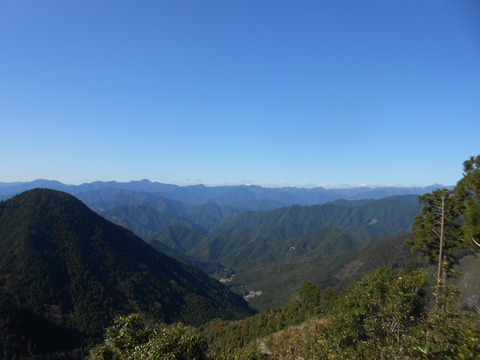 DSCN8799
