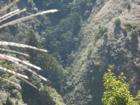 DSCN4761