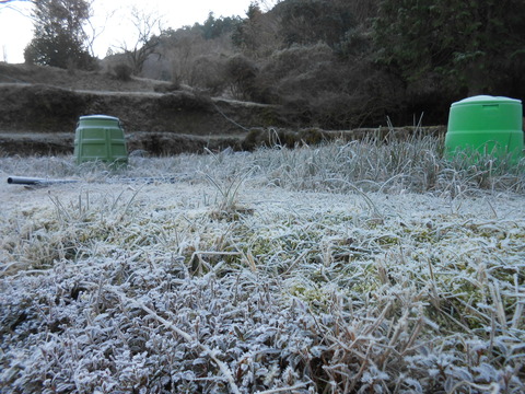 DSCN5276