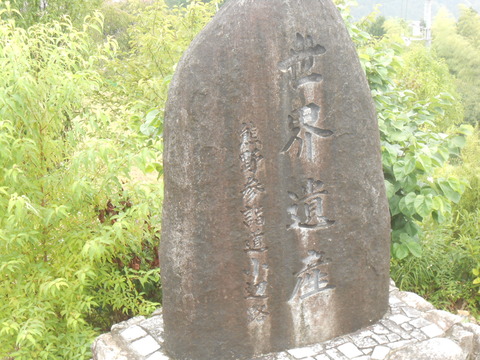 DSCN8324