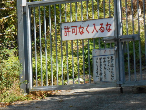 DSCN4929