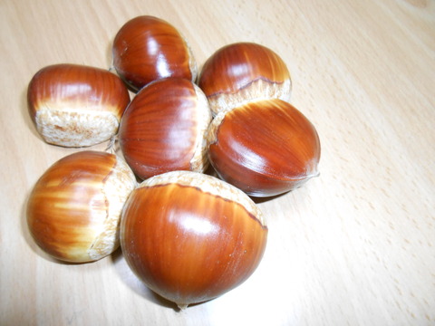 DSCN4697