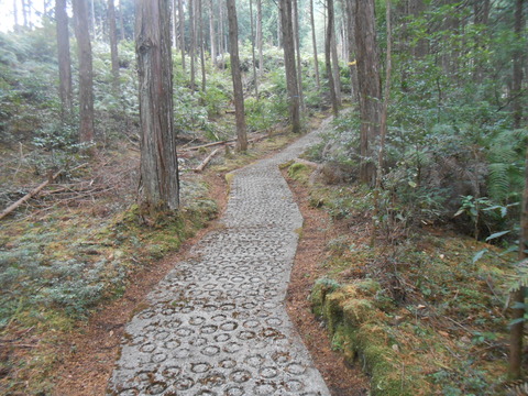 DSCN8866