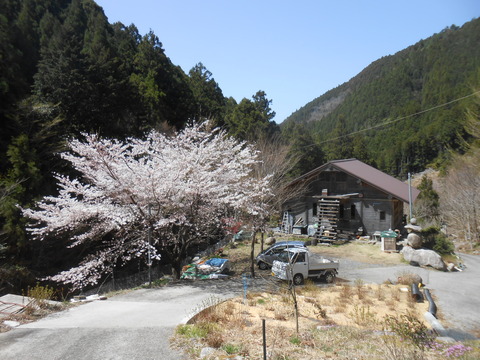 DSCN9069