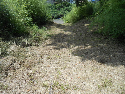 DSCN6494