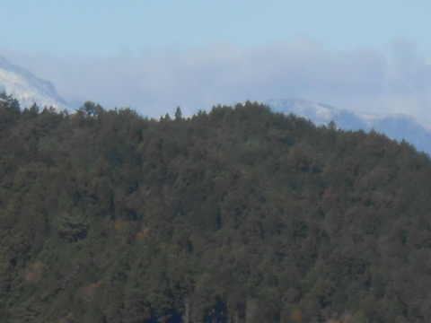 DSCN8794