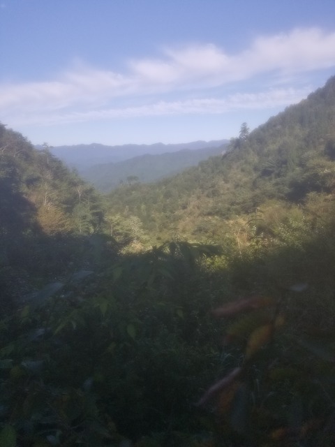 20190919_081309