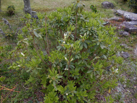 DSCN0894