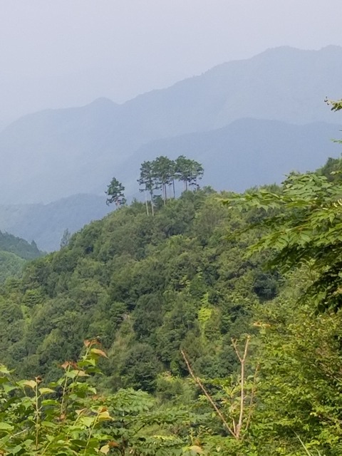 20190803_094512