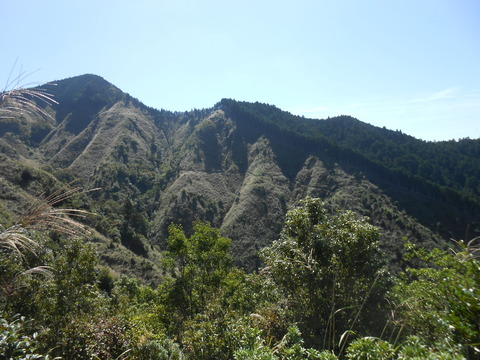 DSCN4759