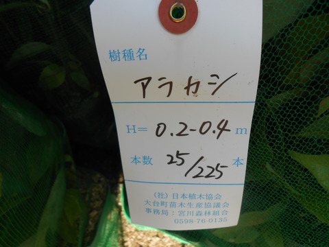 DSCN5131