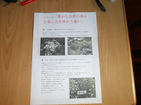 DSCN4095
