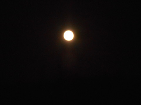 DSCN4765