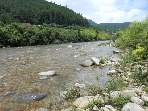 DSCN6495