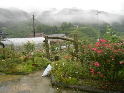 DSCN8226