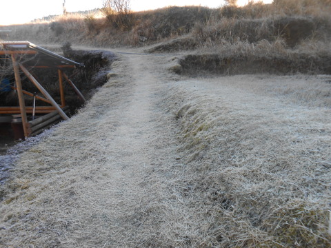 DSCN7525
