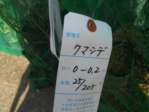 DSCN5130