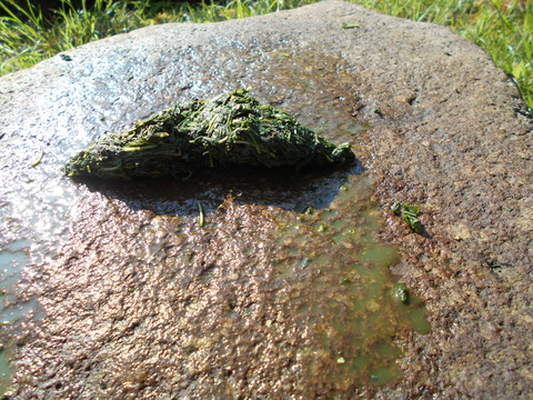 DSCN0191