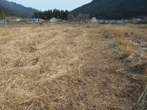 DSCN0775
