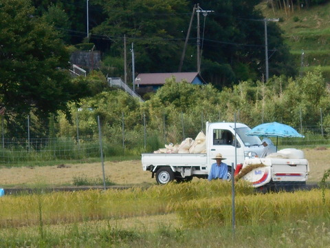 DSCN0137