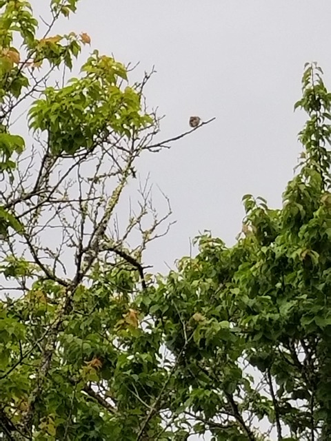 20190521_075953