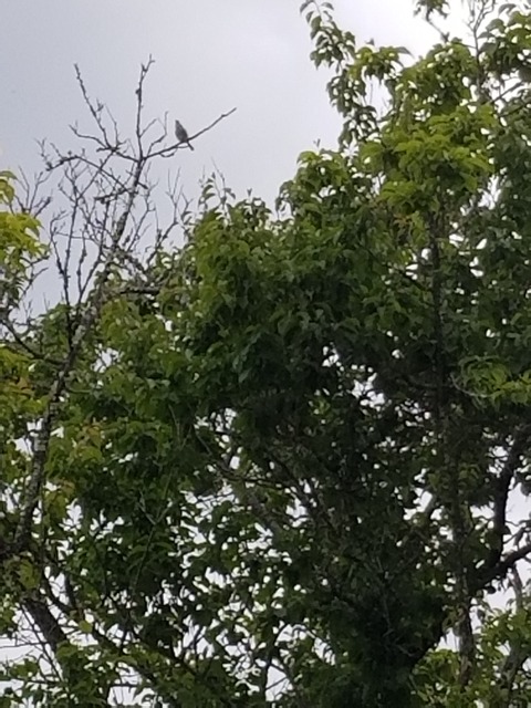 20190531_113711