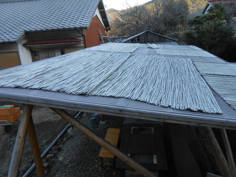 DSCN5278
