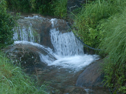 DSCN6676