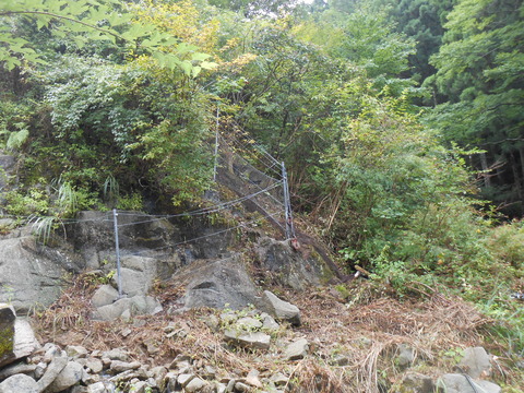 DSCN4632