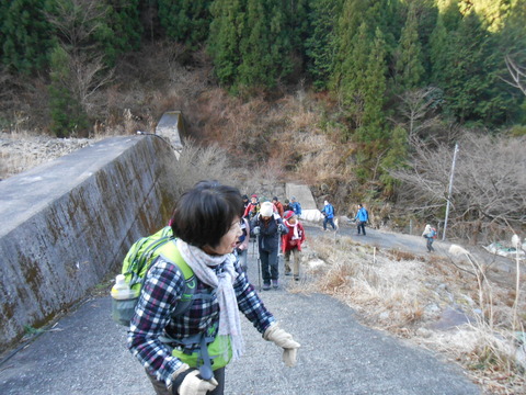 DSCN5452
