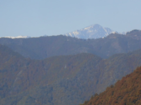 DSCN8903