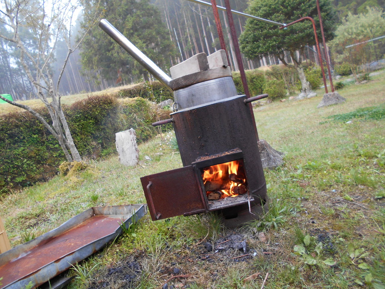今朝 ２２日 朝５時から 筍堀とゼンマイ採りを それぞれで 頑張りました 熊野での田舎暮らし