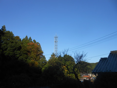 DSCN8774