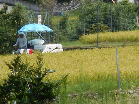 DSCN0134