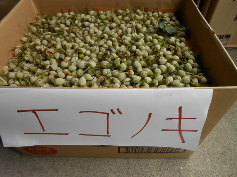 DSCN4942