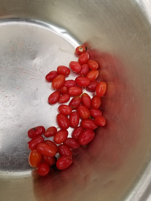 20190602_112731