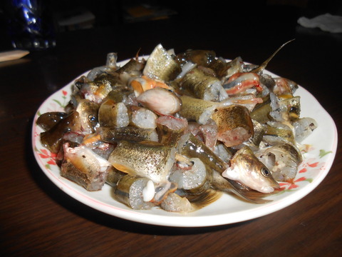 DSCN6577