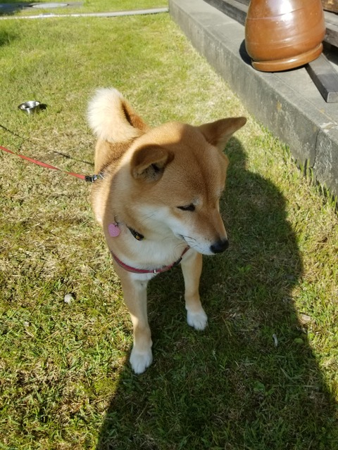 20190507_073519