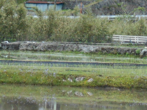 DSCN0889