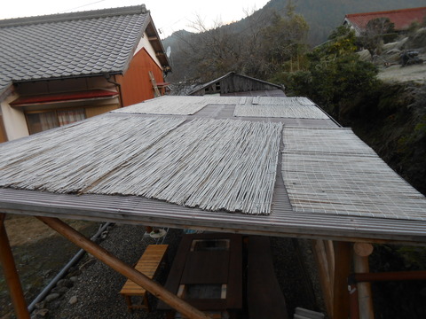 DSCN5127